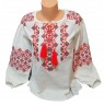 Women's embroidery vzh0760-1
