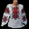 Women's embroidery vzh0310